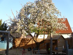 Bild aus dem Leben der Kirchenmäuse