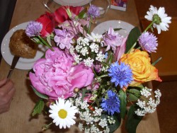 Bild aus dem Leben der Kirchenmäuse